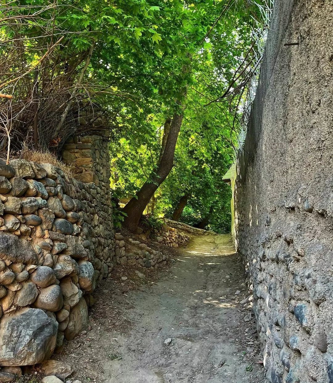 نمایی از کوچه باغ&zwnj;های بهاری کن + تصاویر