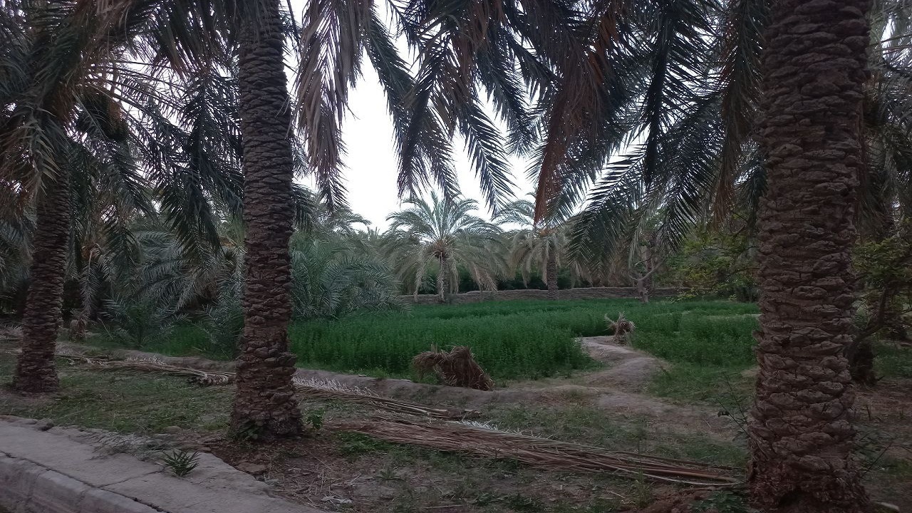 از