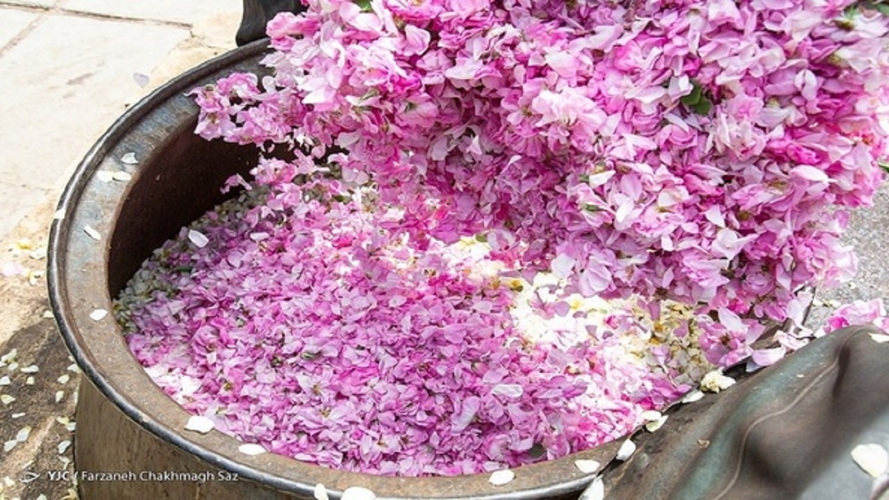 کارخانه گلاب‌گیری جونقان آماده بهره برداری