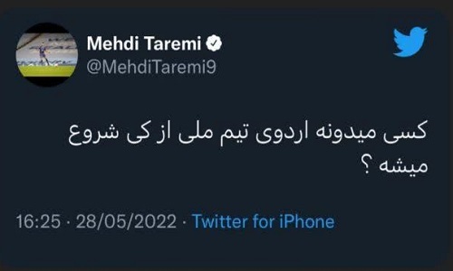 مهدی طارمی