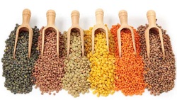 معرفی برخی از خواص ازگیل + فیلم