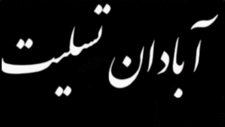 بررسی علت بوی تعفن در محل مترو پل + فیلم