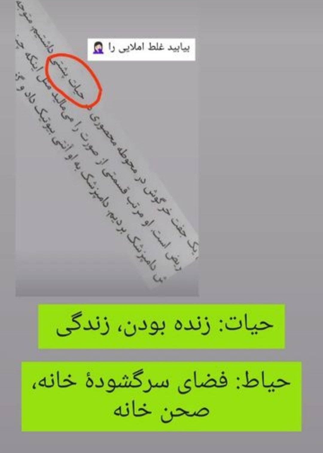 نبود برنامه های غلط یاب از عوامل افزایش غلط نویسی در فضای مجازی