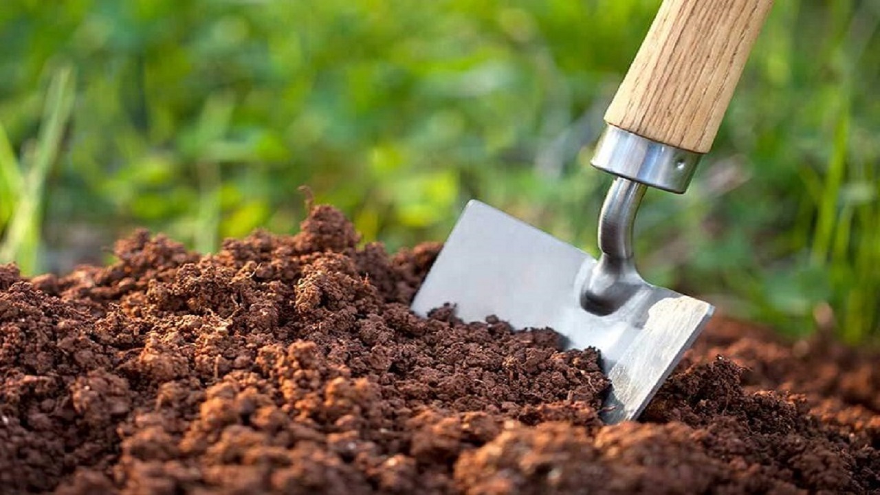صدور بیش از ۲۰۲ هزار حواله الکترونیکی کود کشاورزی در آذربایجان غربی