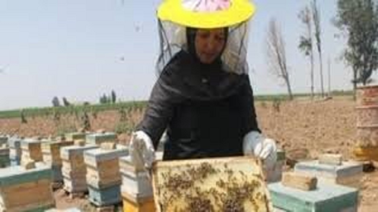 اجرای طرح‌های توانمندسازی زنان در روستا‌های سیستان و بلوچستان