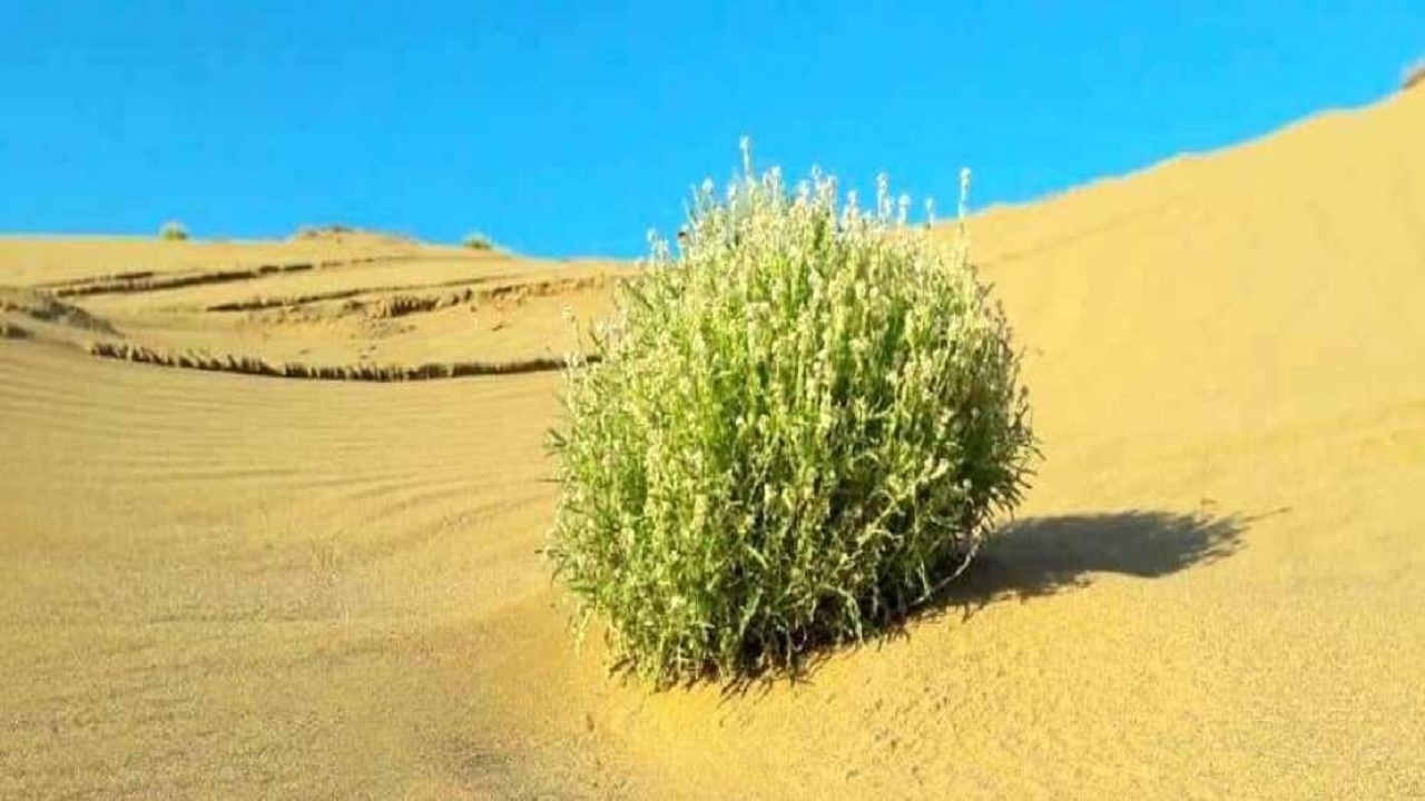 مناطق سجزی و جرقویه اصفهان کانون‌های اصلی گرد وخاک هستند