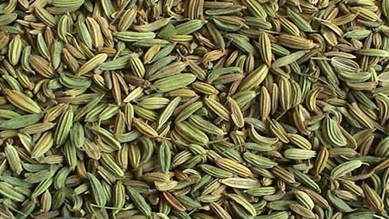 تولید ۸۰۰ تن زیره در گلستان