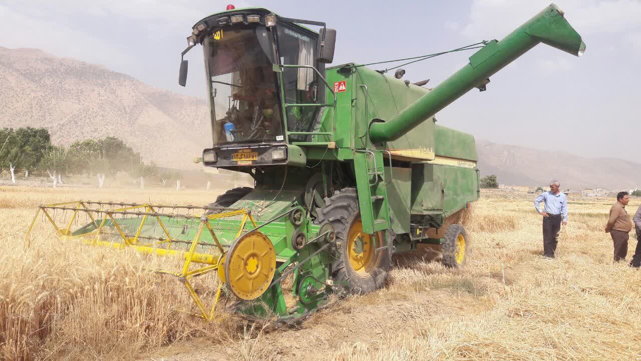 آغاز برداشت گندم در چهارمحال و بختیاری+تصاویر
