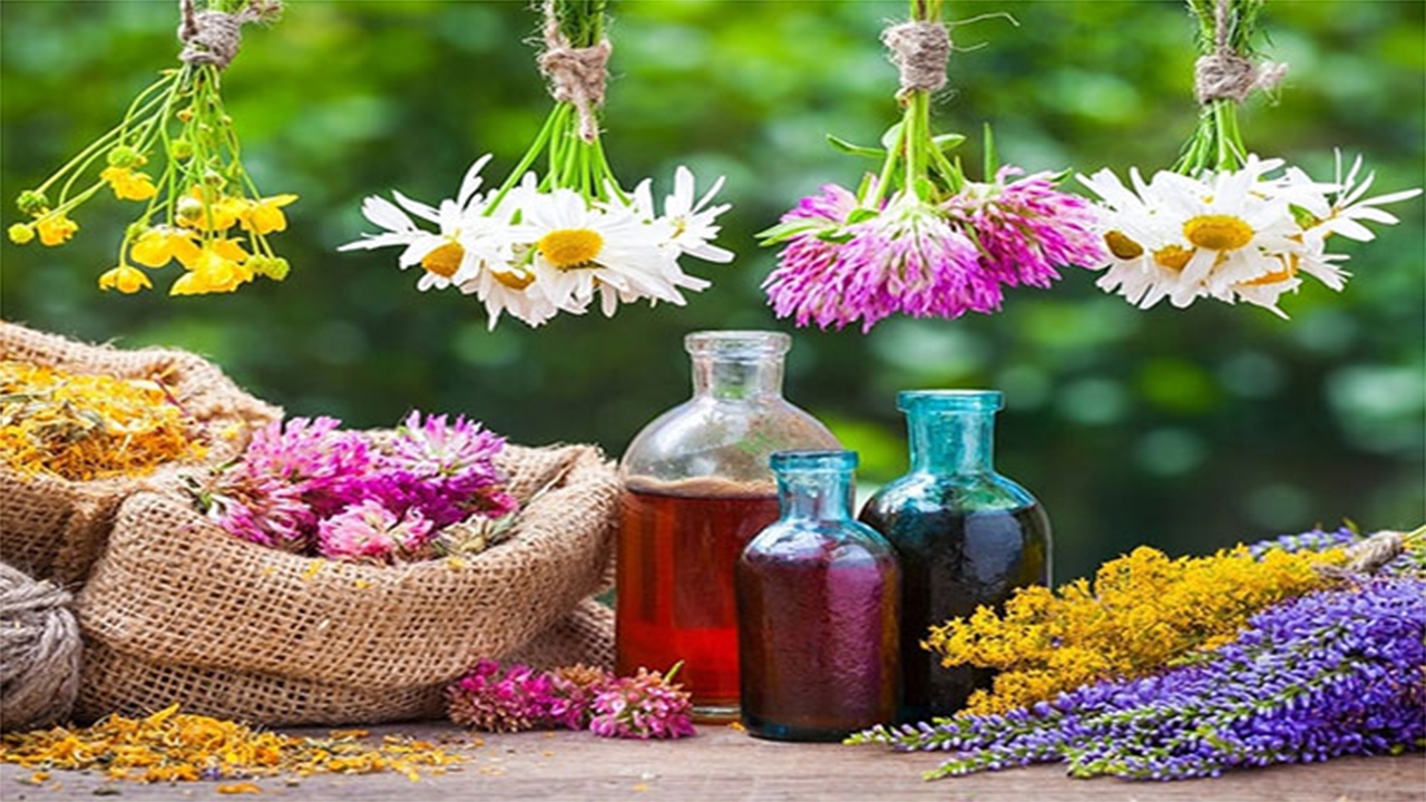 تولید گیاهان متنوع دارویی گنجینه‌ای غنی در اقتصاد پایدار گردشگری