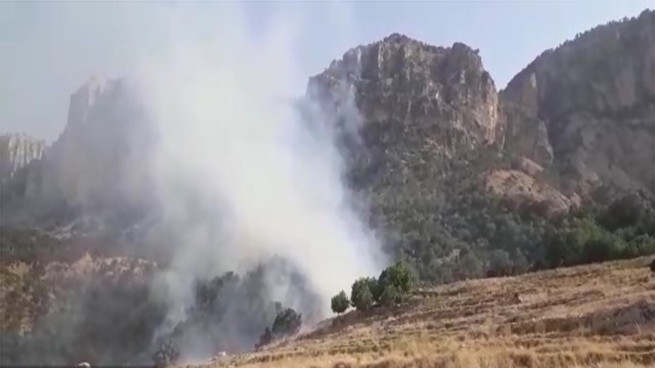 مهار آتش سوزی در ده باغ روستای دهنو ممسنی