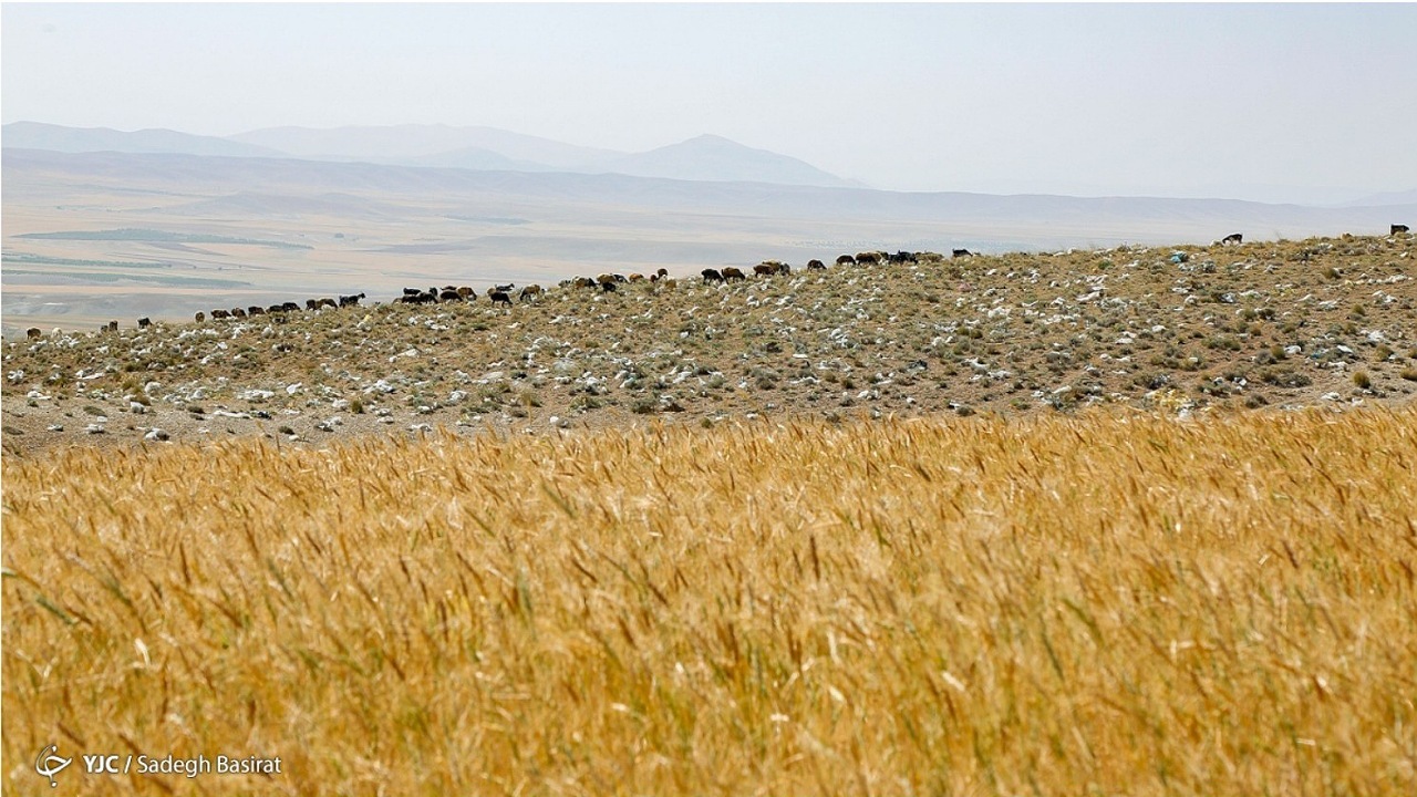 پلاستیک بلای جان مراتع سمیرم