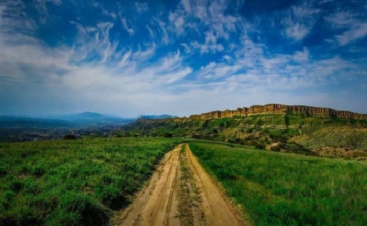 نادرترین پسته جهان در قلب چهچهه خراسان رضوی
