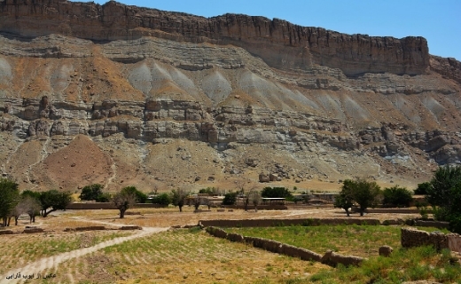 نادرترین پسته جهان در قلب چهچهه خراسان رضوی