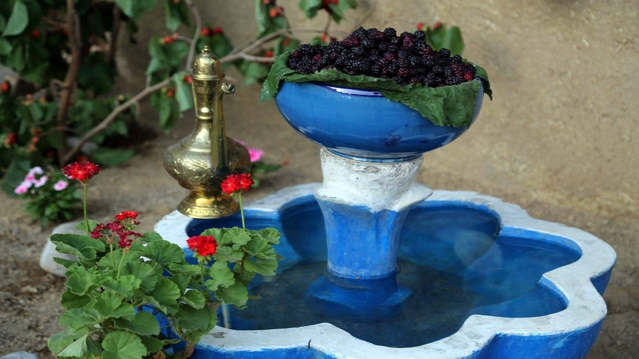 جشنواره میوه ارغوانی برگزار می‌شود