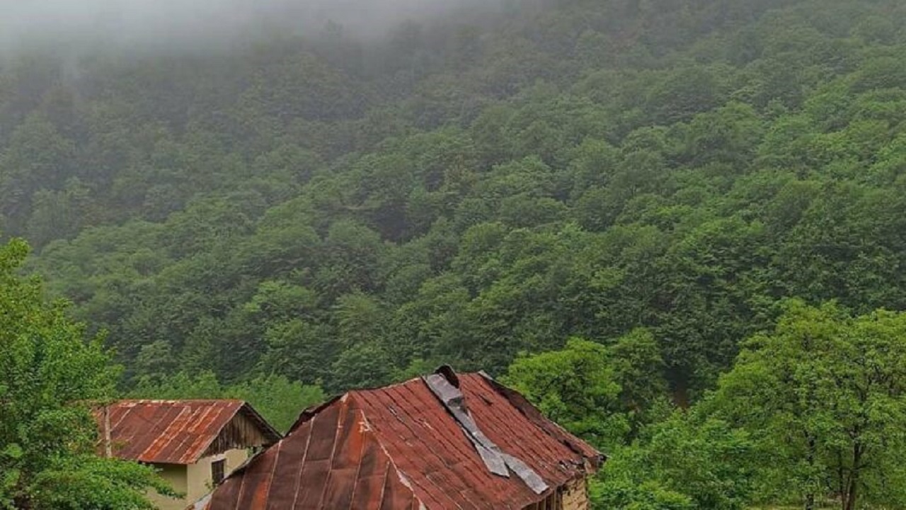 چشم اندازی از طبیعت تابستانی روستای سنگرودپی + فیلم