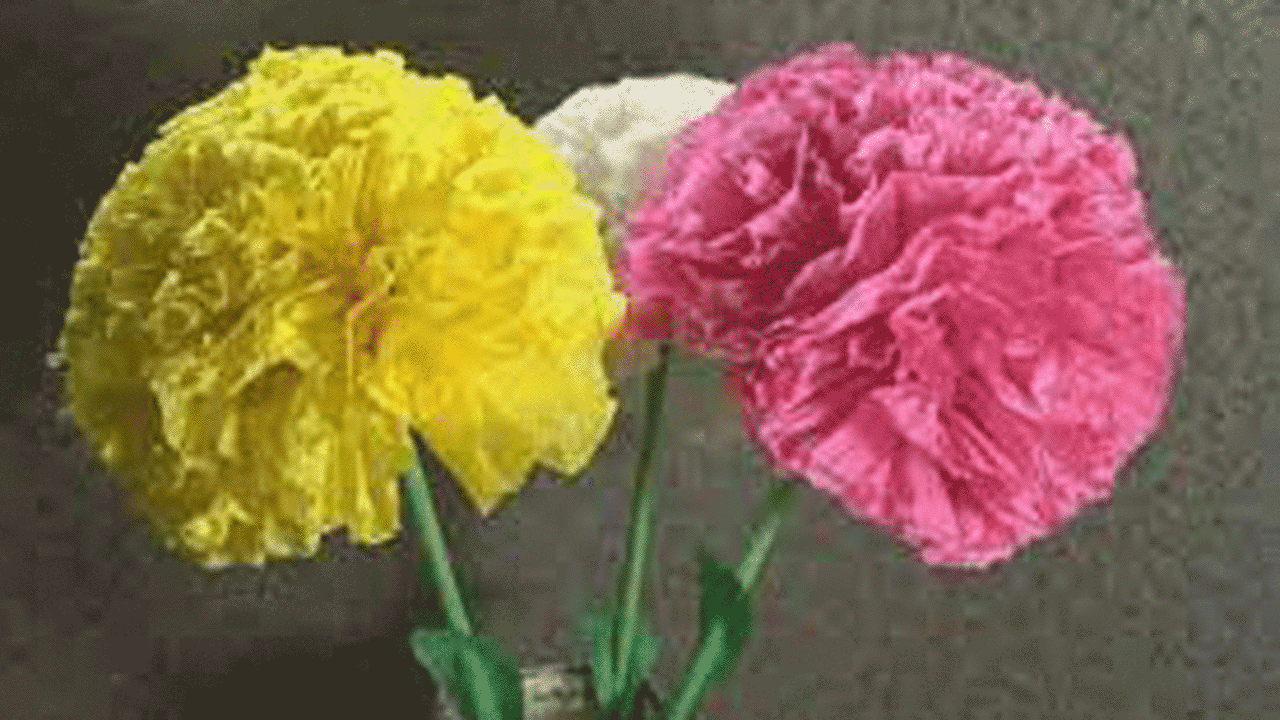 ساخت گل با دستمال کاغذی + فیلم