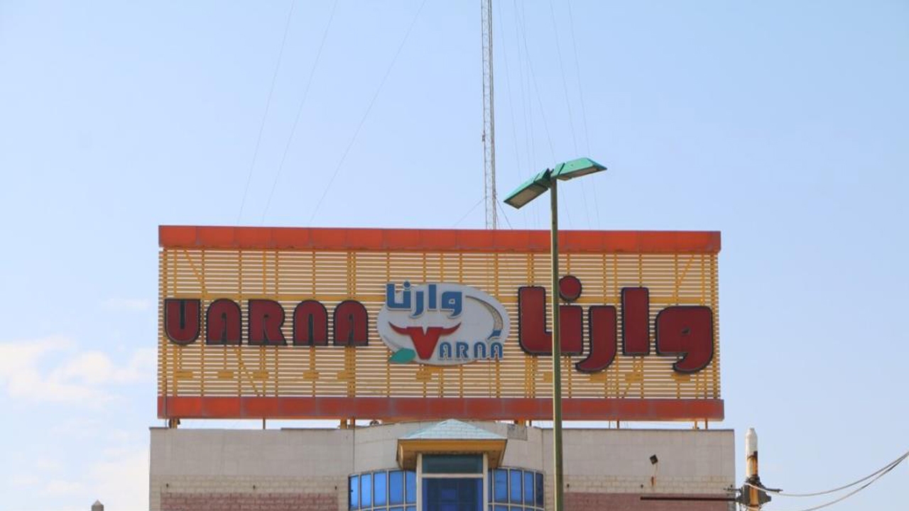 از ورشکستگی دامداران تا طلب‌های میلیاردی از یک کارخانه لبنیات در ورامین