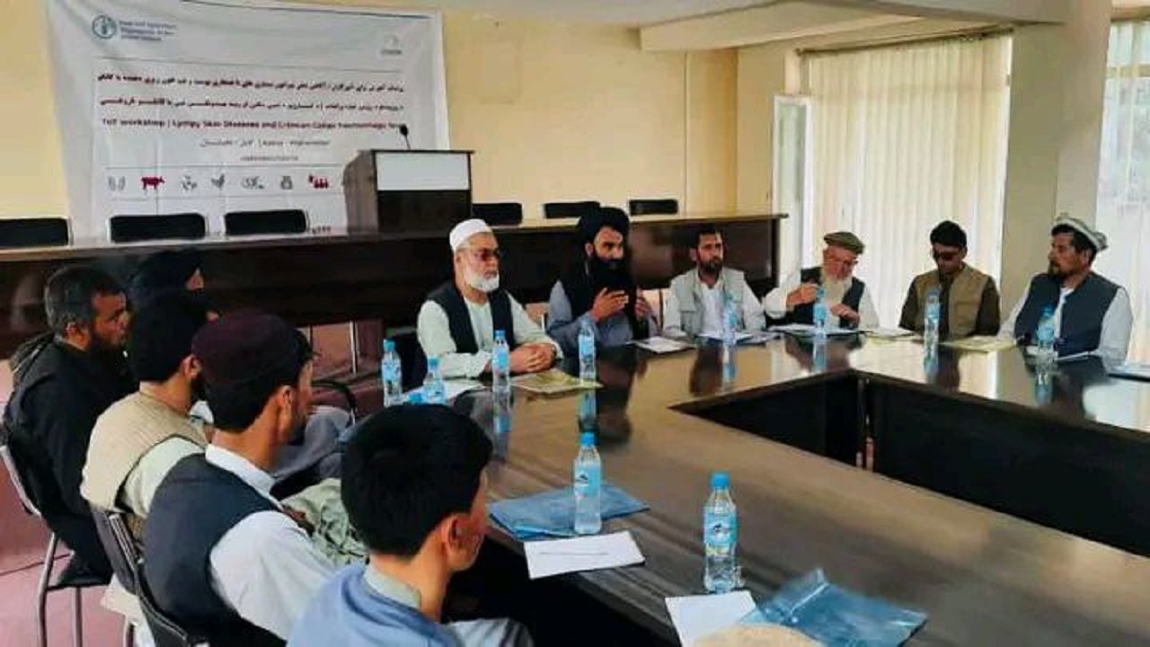 برگزاری کارگاه یک‌روزه به منظور چگونگی جلوگیری از مرض تب کنگو در پروان