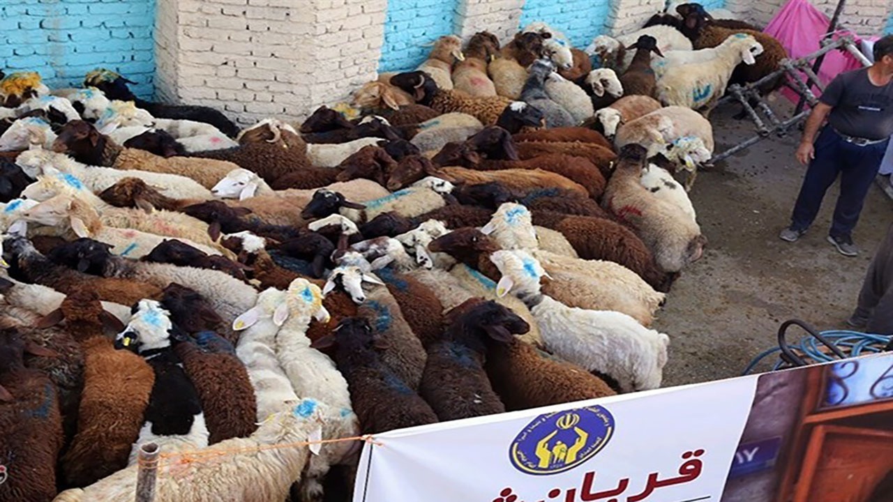 نظارت ۶۴ تیم دامپزشکی بر ذبح دام در عید قربان