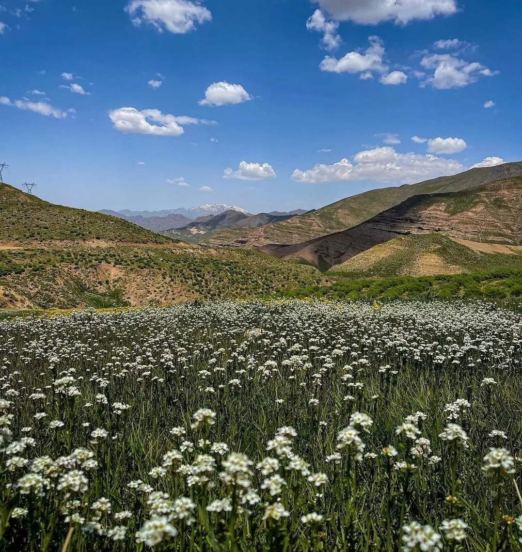 نمایی از طبیعت تابستانی گردنه عسلک + تصاویر
