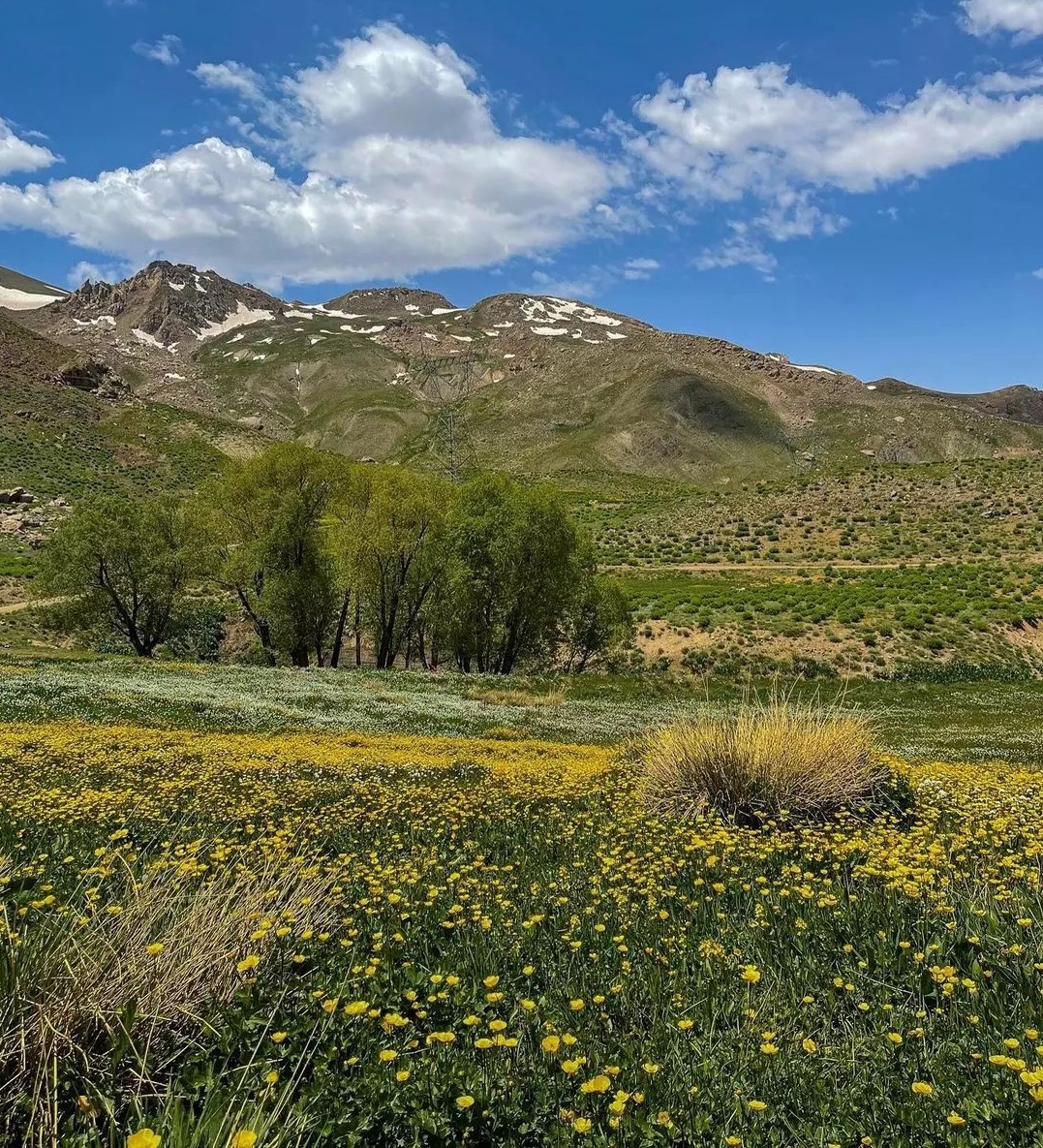 نمایی از طبیعت تابستانی گردنه عسلک + تصاویر