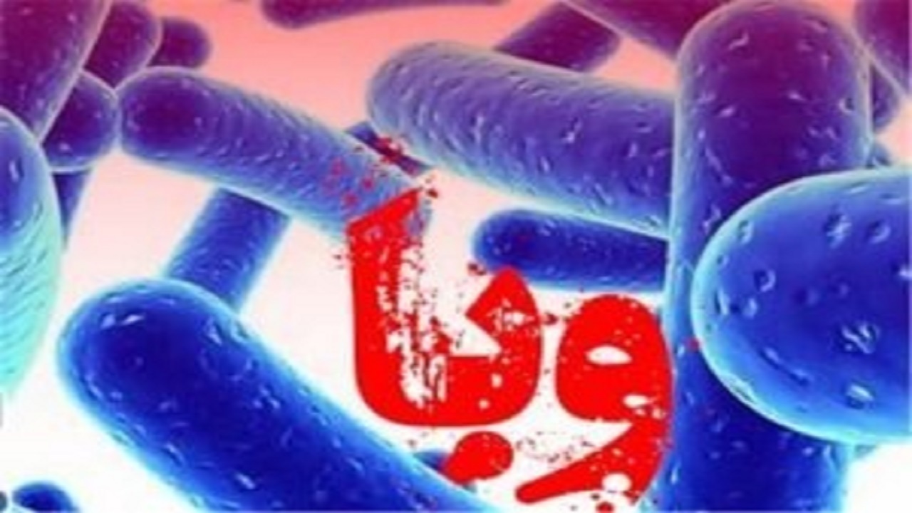 ابتلای ۳۷ مورد قطعی به وبا در کشور؛ هیچ مورد فوت ناشی از وبا گزارش نشده است