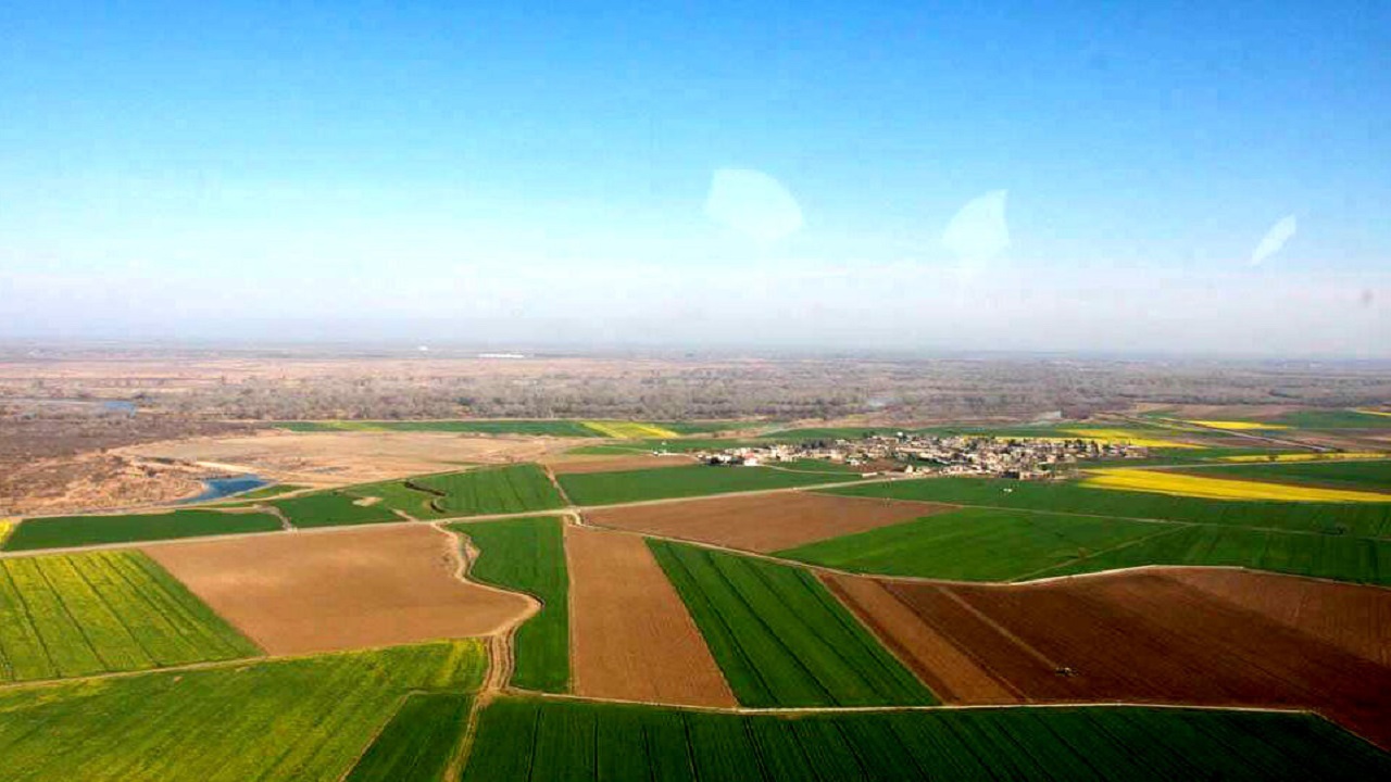 قرارگیری ۴۴ هزار هکتار از باغات چهارمحال و بختیاری در اولویت توسعه