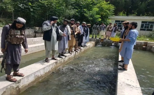 مشکلات فارم پرورش ماهی در گلغندی کاپیسا رفع خواهد شد + تصاویر &nbsp;