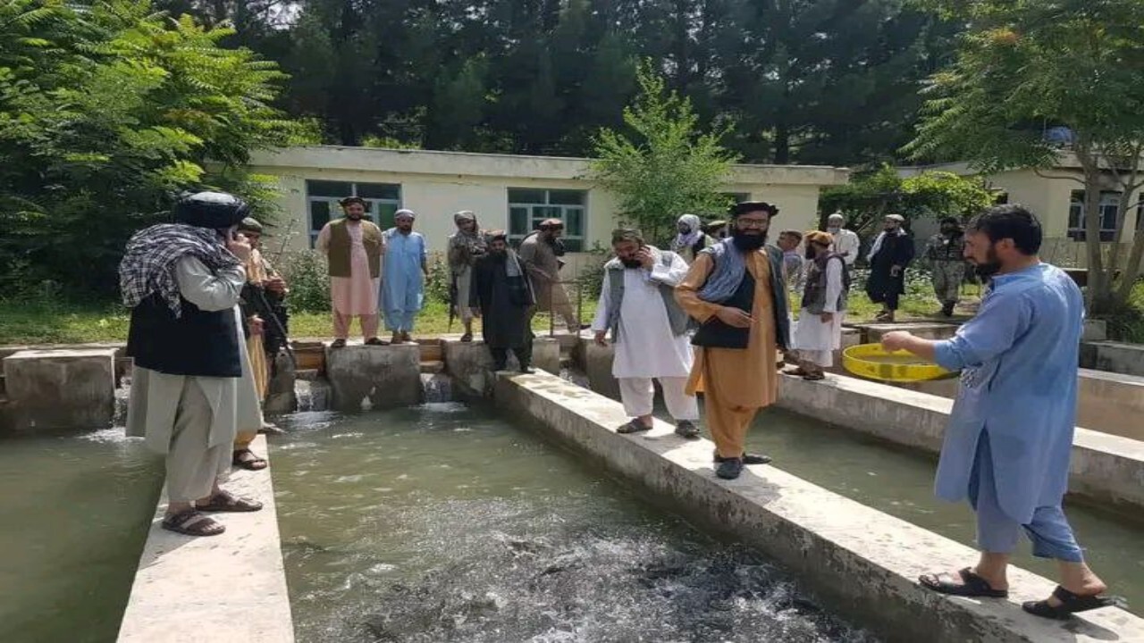 مشکلات فارم پرورش ماهی در گلغندی کاپیسا رفع خواهد شد + تصاویر 

 