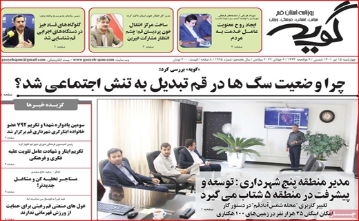 گویه