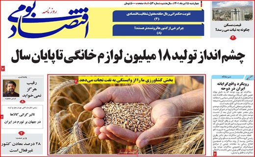 اقتصاد بومی