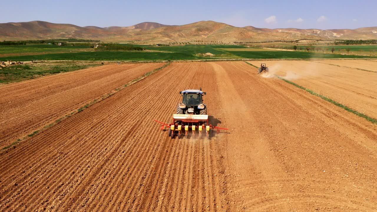 افزایش ۷۰ درصدی قیمت خرید تضمینی چغندر قند در چهارمحال و بختیاری