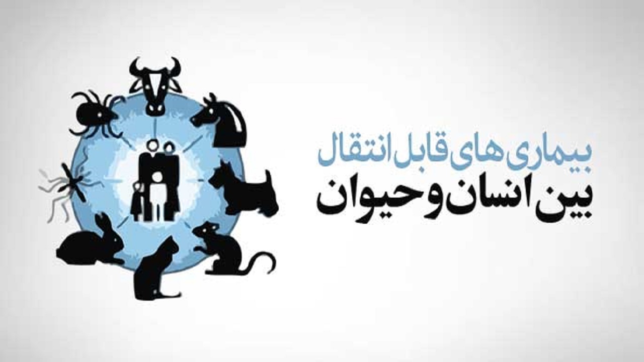 ضرورت اقدامات پیشگیرانه برای مقابله با بیماری‌های مشترک بین انسان و حیوان