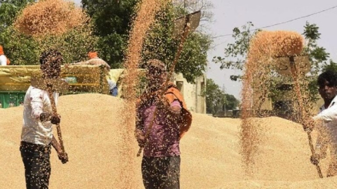 پاکستان ۱۲۰ هزارمتریک‌ تن گندم به افغانستان می‌فروشد 