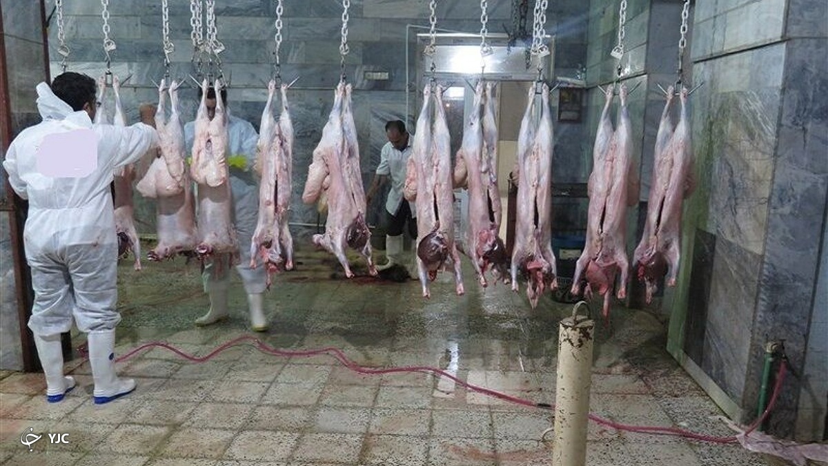 ۲ تن گوشت غیربهداشتی در میاندوآب کشف شد