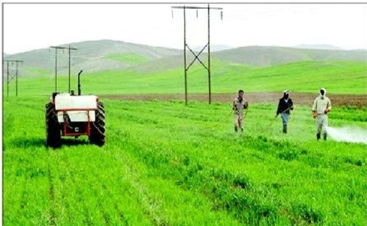 آبیاری نوین برگ برنده&zwnj;ای در دستان کویر نشینان