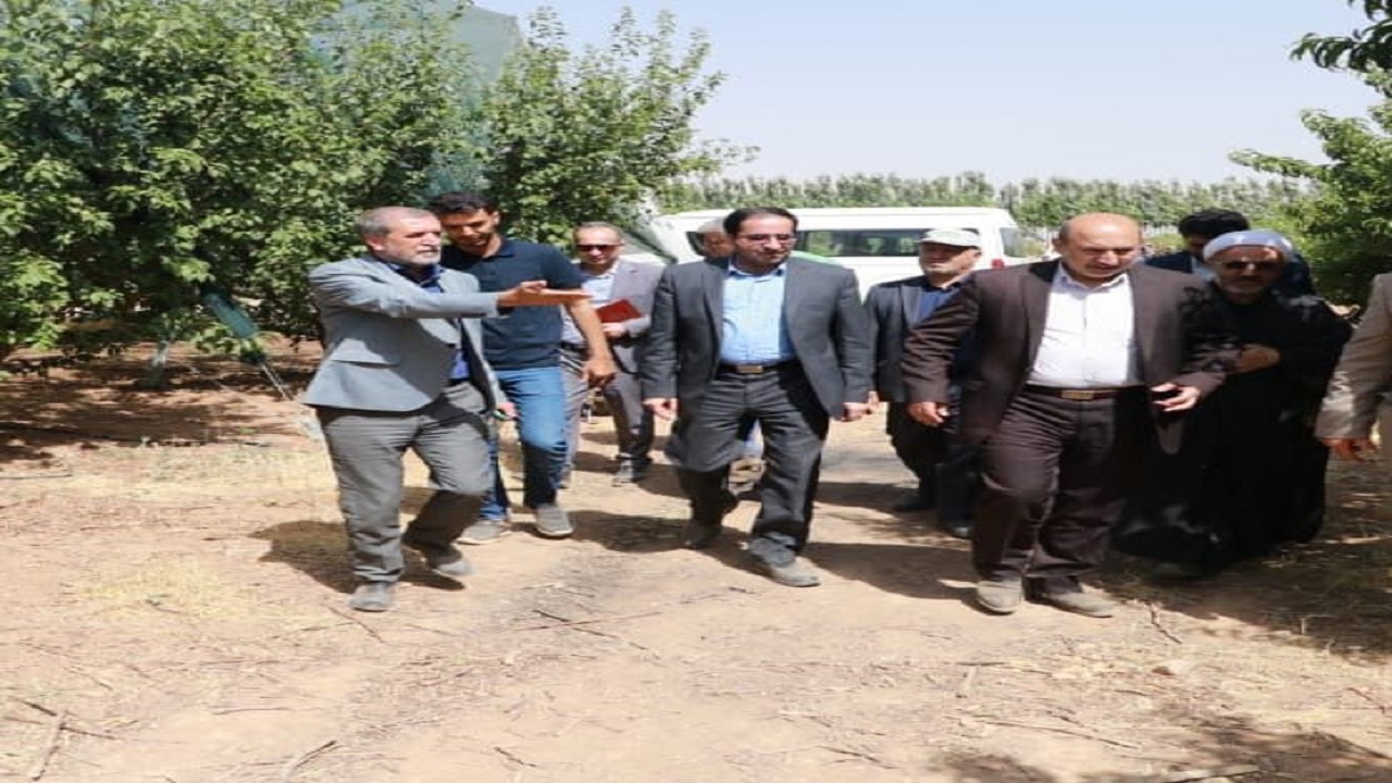 دانش و فناوری برای باغداران در اولویت قرار گیرد