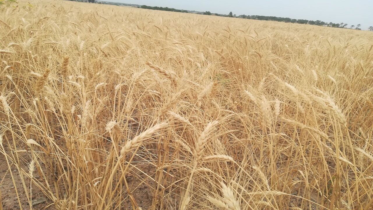 از