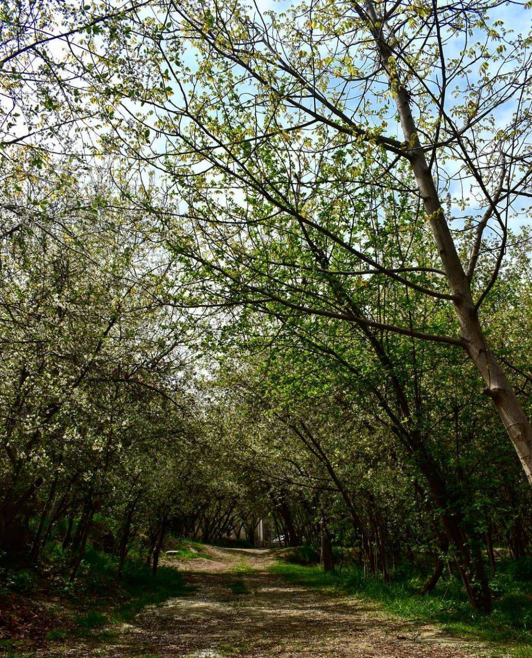 خادر روستای ۱۰۰۰ ساله&zwnj;ی اسرارآمیز در خراسان رضوی