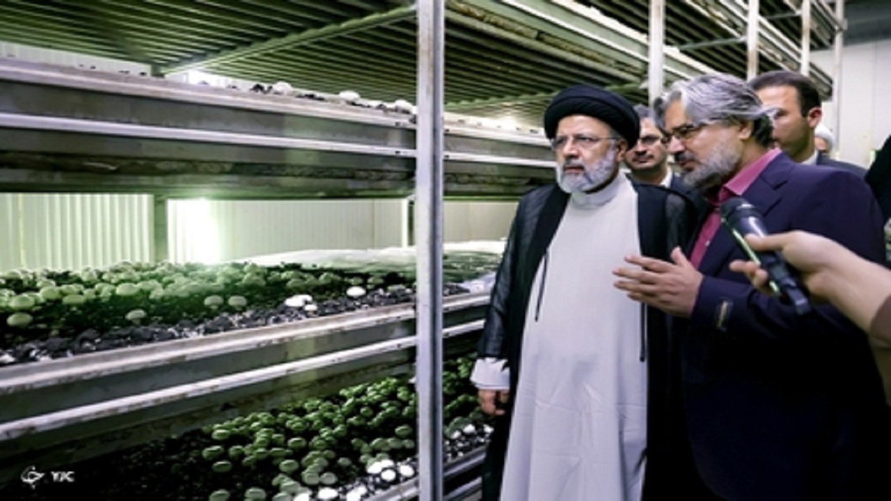 بازدید رئیس جمهور از طرح‌های توسعه‌ ای سروآباد