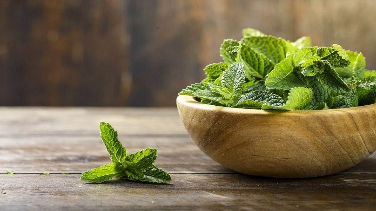 فواید بی نظیر نعناع؛ از روشن کننده رنگ صورت تا تقویت کننده پوست