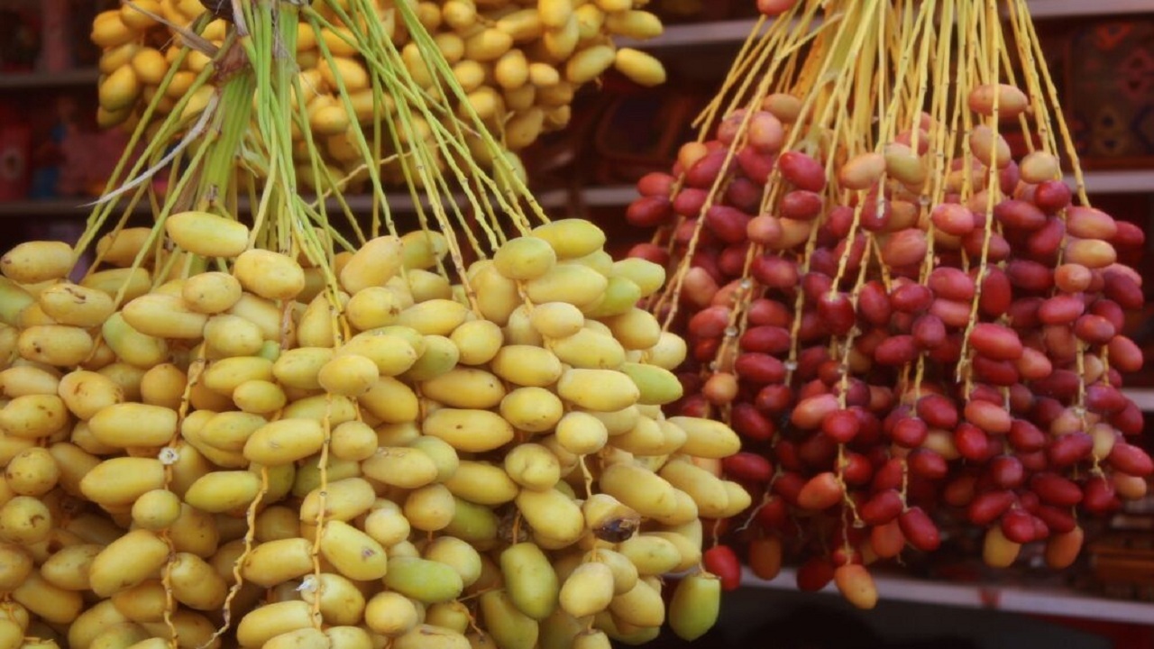 قیمت مناسب خرید تضمینی بازار خرما را متعادل میکند قیمت مناسب خرید تضمینی بازار خرما را متعادل میکند