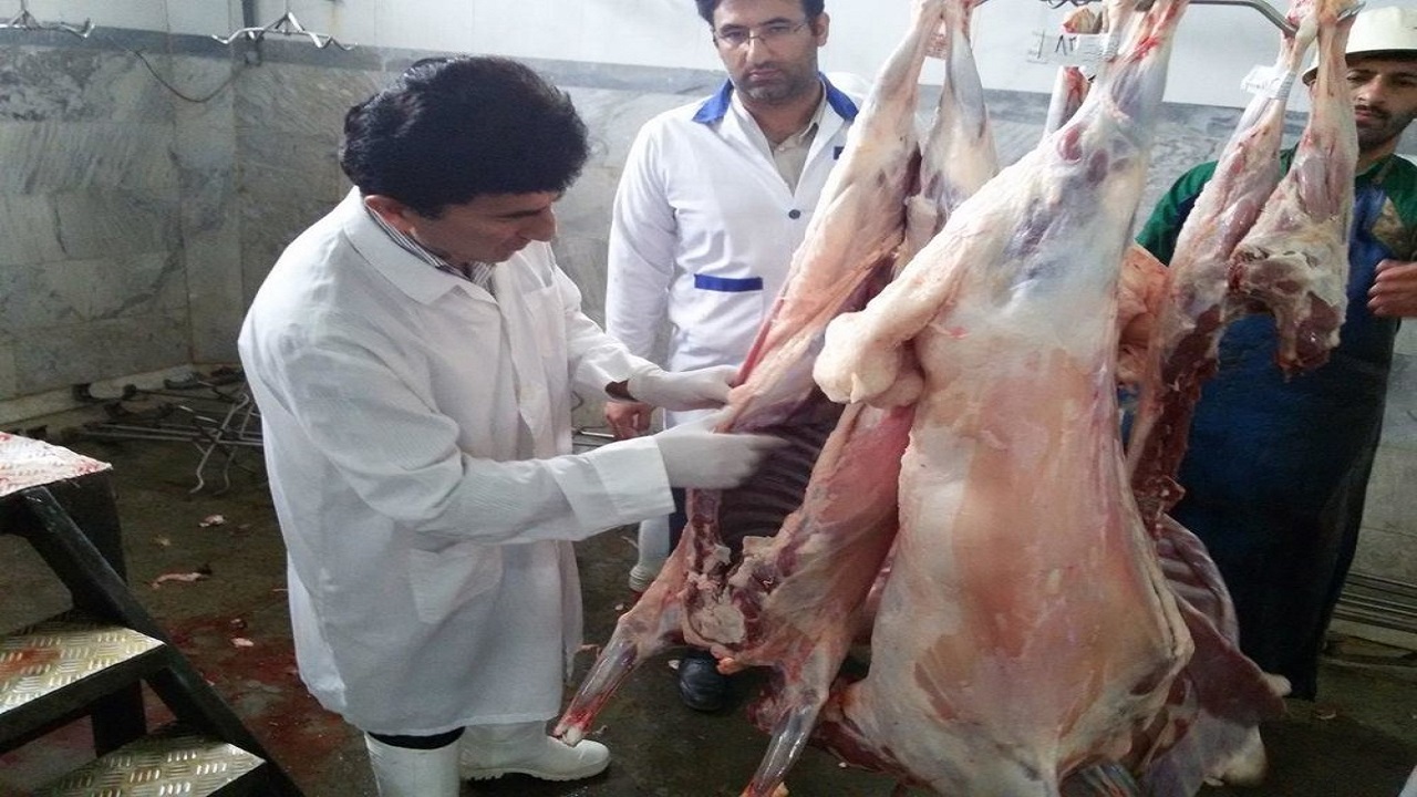 ۴ گروه بر ذبح دام روز عید قربان در میاندوآب نظارت می‌کنند