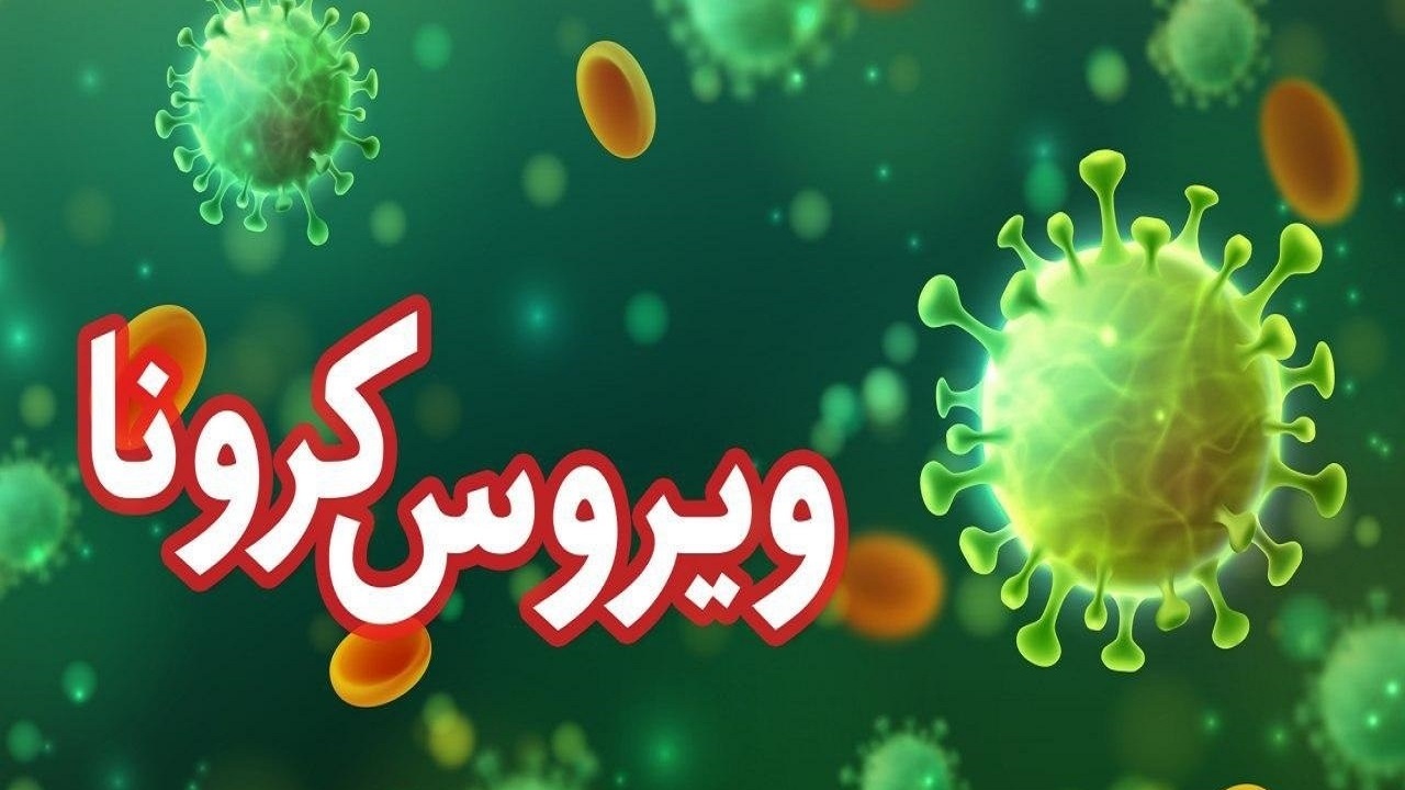 آماده پذیرش بیماران کرونایی هستیم