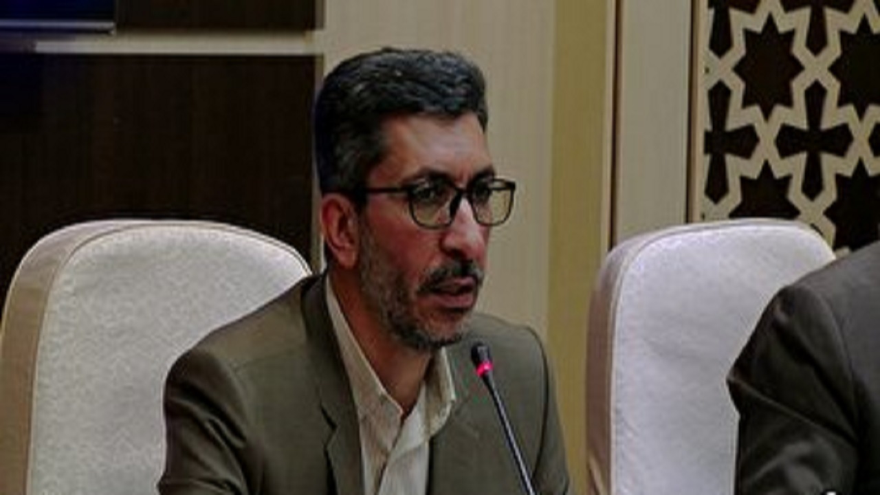 سگ های قم شناسنامه دار می شوند