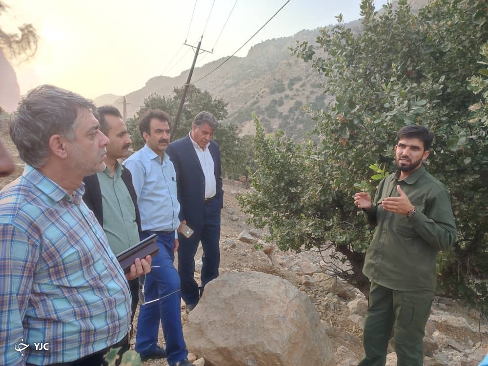 عزم جدی وزارت جهاد کشاورزی در حفاظت از جنگل‌های بلوط