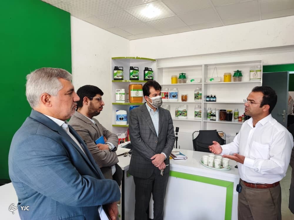 ایجاد اشتغال برای مددجویان کمیته از طریق محصولات دانش بنیان
