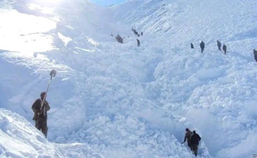۲ هزار رأس مواشی درپی بارش برف در نورستان تلف شد