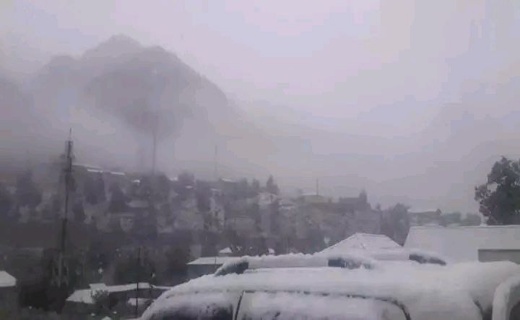 ۲ هزار رأس مواشی درپی بارش برف در نورستان تلف شد