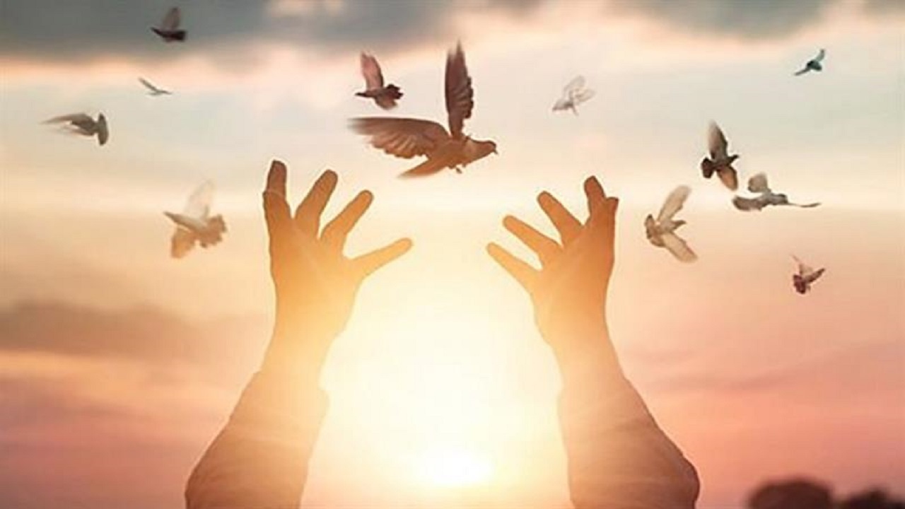 آزادی ۷ زندانی در قزوین در هفته قوه قضاییه